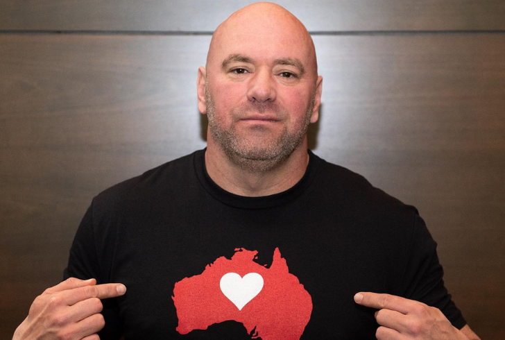 Discussing who owns UFC highlights the role of Dana White and other stakeholders.